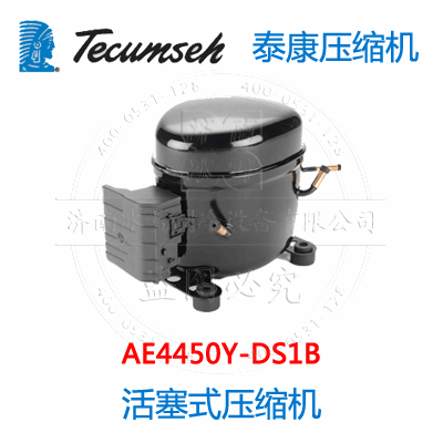 AE4450Y-DS1B