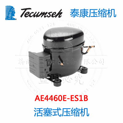 AE4460E-ES1B