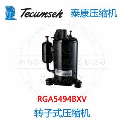 RGA5494BXV