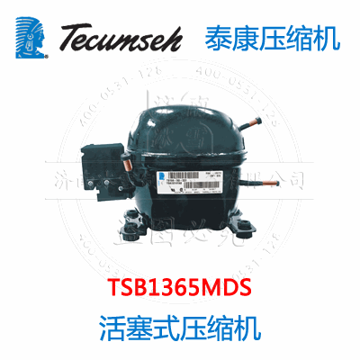 TSB1365MDS
